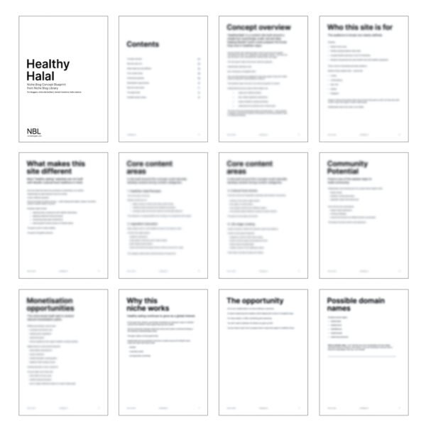 Thumbnail image of e-book product pages included - blurred pages of gated content of Healthy Halal Concept Blueprint.