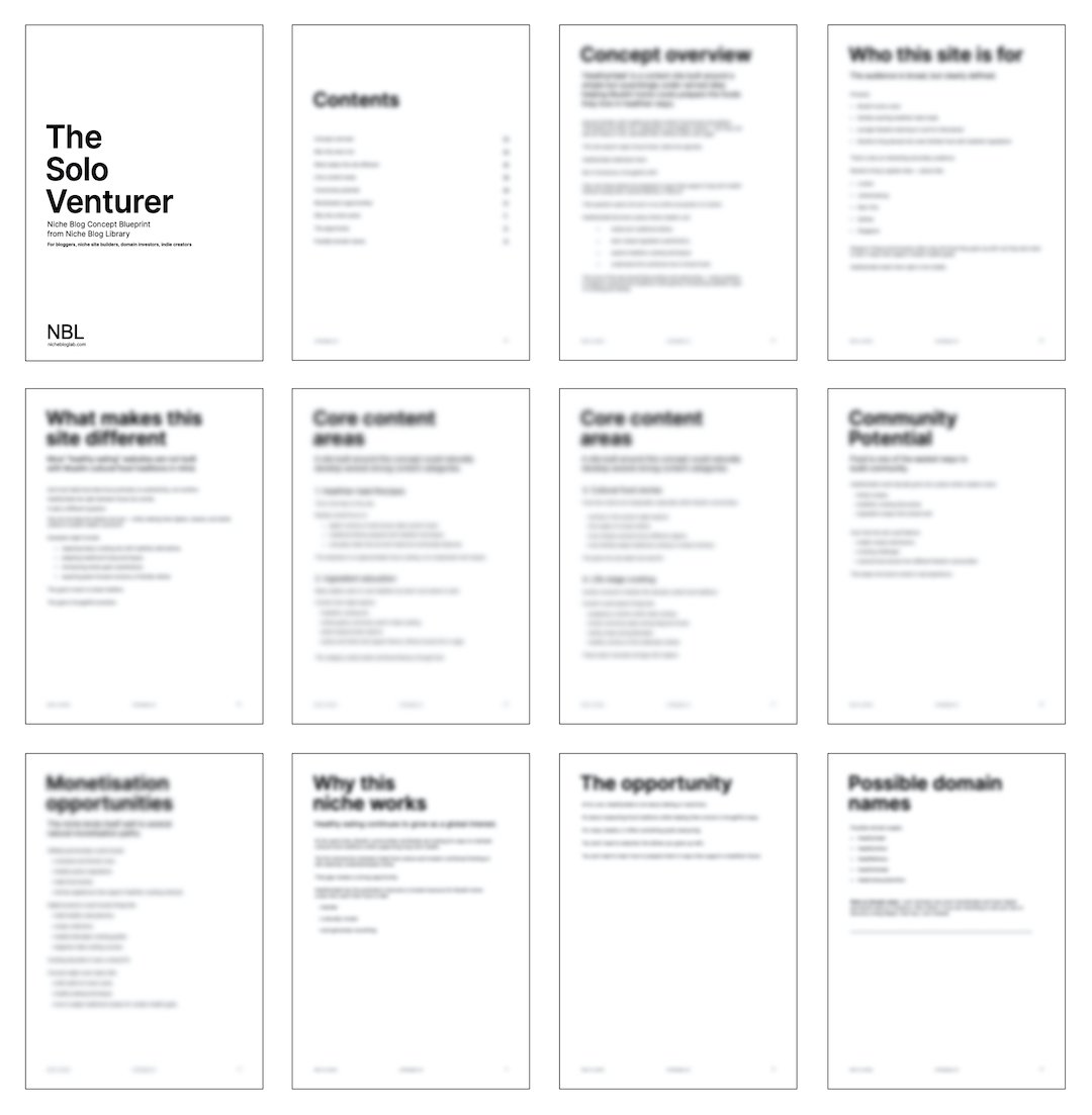Thumbnail image of e-book product pages included - blurred pages of gated content of The Solo Venturer Concept Blueprint.